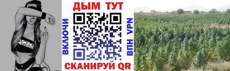 Продажа наркотиков Кувандык Амфетамин NBOMe Меф мяу мяу ГАШИШ Бошки Шишки