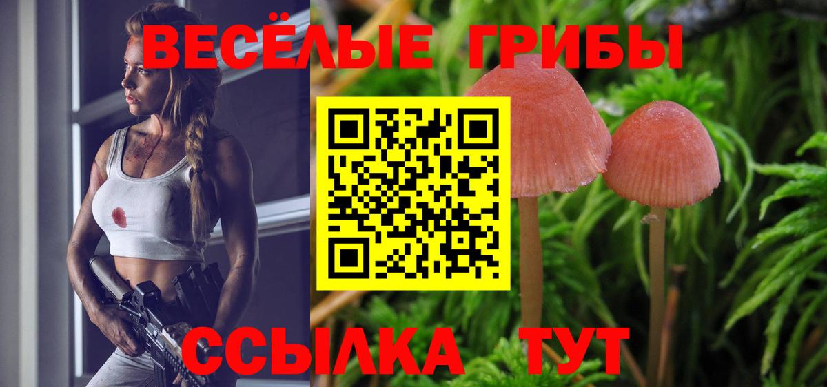 Галлюциногенные грибы Cubensis Кувандык
