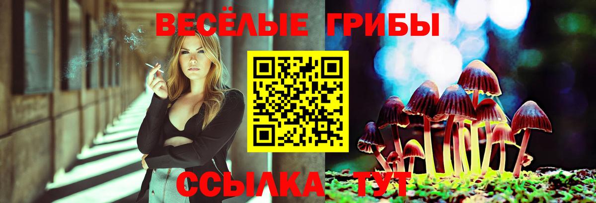 Галлюциногенные грибы Psilocybe  Вход с VPN  Кувандык 