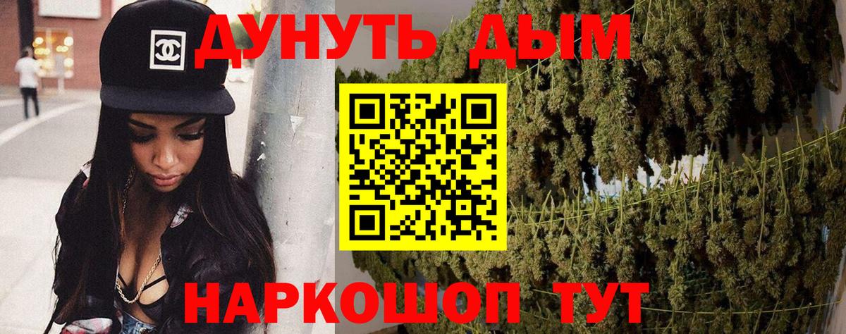 Бошки марихуана планчик  Шишки марихуана план  Кувандык  Вход с VPN 